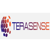 TeraSense, Inc. Logo