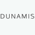 Dunamis Web Services Ltd Logo