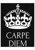 Carpe Diem Teams Logotype