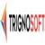 Trignosoft Solutions Pvt Ltd Logo