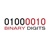 Binary Digits Private Limited Logo