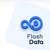 FlashData Logo