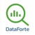 DataForte Logo