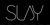 Slay DIFC Logo