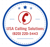 USA Calling Solutions Logo