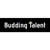 Budding Talent Partners Logo