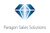 Paragon Sales Solutions Logo