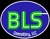 BLS Consulting, LLC Logo