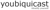 youbiquicast, LLC Logo
