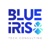 Blue Iris Tech Consulting Logo