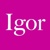 Igor Naming Agency Logo