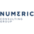 Numeric Consulting Group Logo