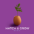 Hatch & Grow Media Logo