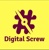 Digital Screw Services Logo