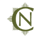 Noell Consulting Group Logo