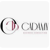 Provider Logotype Cadamy Business Consulting Logo