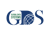 Global Data Systems Logo