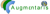 Augmentaris Logo