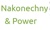 Nakonechny & Power Chartered Accountants Ltd Logo