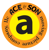 Ace & Son Moving Picture, Co. LLC Logo