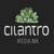 Cilantro Media Logo