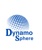 Dynamo Sphere Digital Solutions Logo