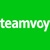Teamvoy Logo