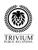 TRIVIUM PUBLIC RELATIONS Logo