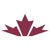 Canadian Christian News Service Logo