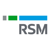 RSM Germany Logo