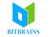 Bitbrains Technology Private Limited Logo