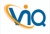 VizionIQ Global Logotype