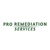 Pro Remediation Services Logo