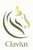 Clavius Solutions Logo