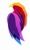 Eagle Solutions Logotype