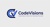 Code Vision Logotype