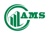 Al Mas Star Building Contracting LLC Logotype