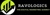 ravologics Logotype