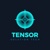 Tensor Solution Tech Logo