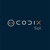 Codixsol Logotype