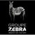 Groupe Zebra Logotype