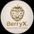 BerryX Systems Logotype