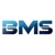 bluemojo solutions Logotype