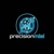 Precisionmlai Logotype