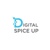 Digital Spice Up Logotype