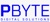 PByte Digital Solutions Logo