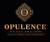 Opulence Accounting and Bookkeeping LLC Logo