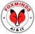 FOXMINDS Solutions LLC Logo