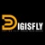Digisfly Logotype