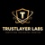 TrustLayerLabs Logo